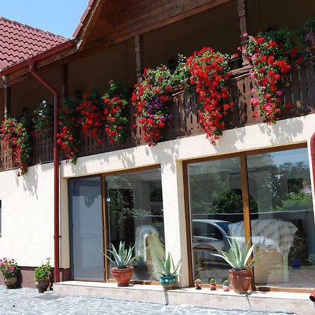 Pensiunea Casa Filoxenia Horezu Ngoại thất bức ảnh