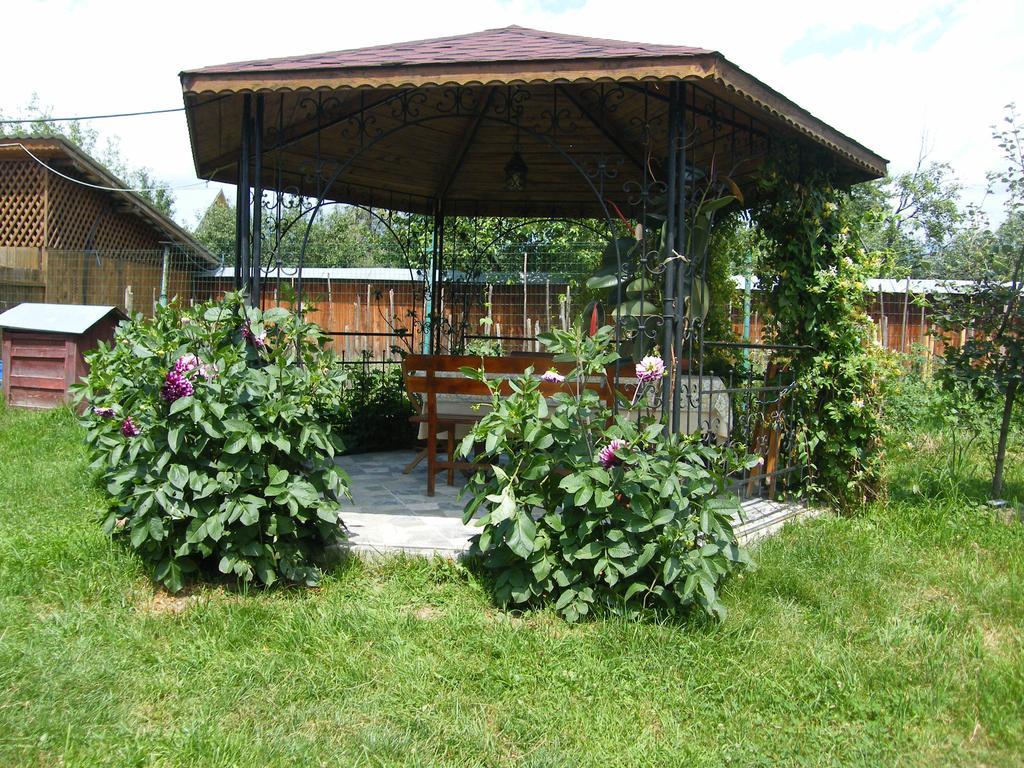 Pensiunea Casa Filoxenia Horezu Ngoại thất bức ảnh
