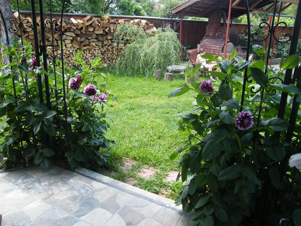 Pensiunea Casa Filoxenia Horezu Ngoại thất bức ảnh