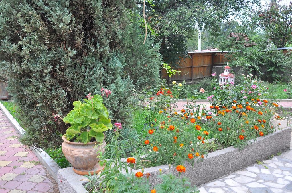 Pensiunea Casa Filoxenia Horezu Ngoại thất bức ảnh