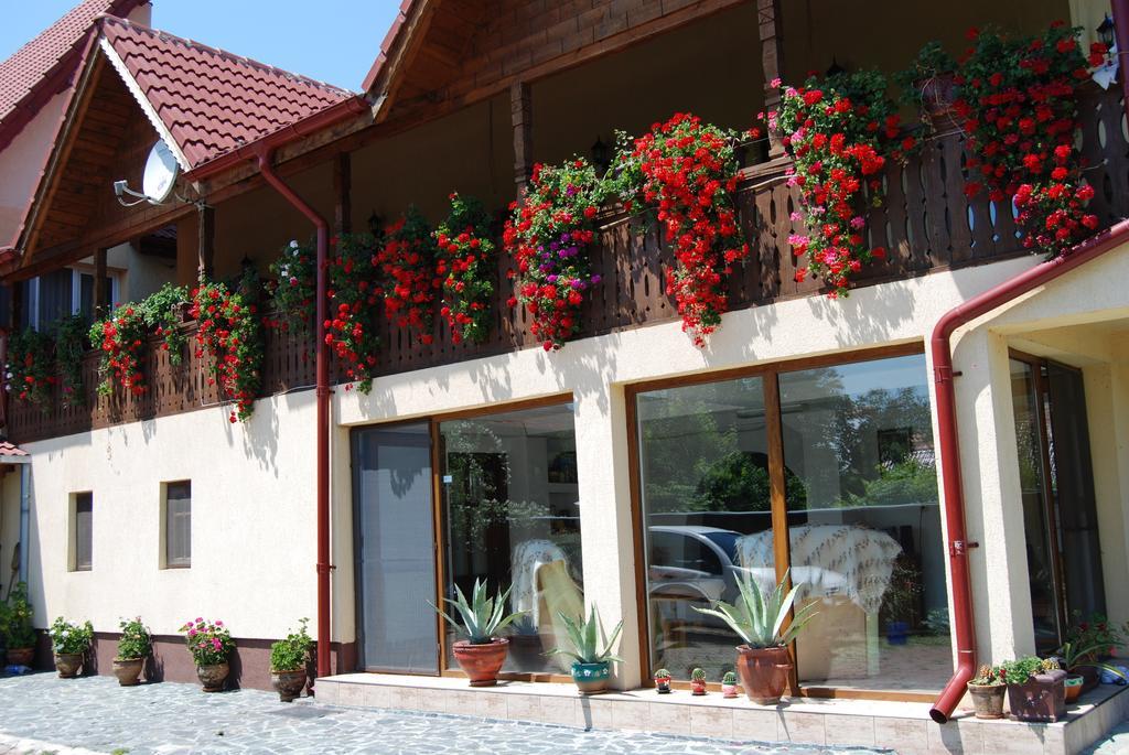Pensiunea Casa Filoxenia Horezu Ngoại thất bức ảnh